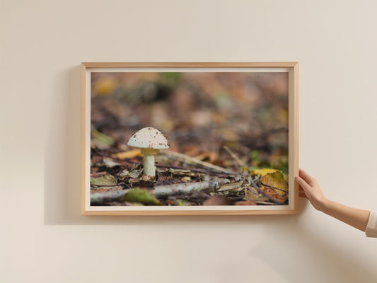 White Woodland Mushroom Poster, Fungi Photography Print, Autumn Forest Floor Wall Art, Framed-Print, Nature Lover Gift, Earthy Botanical