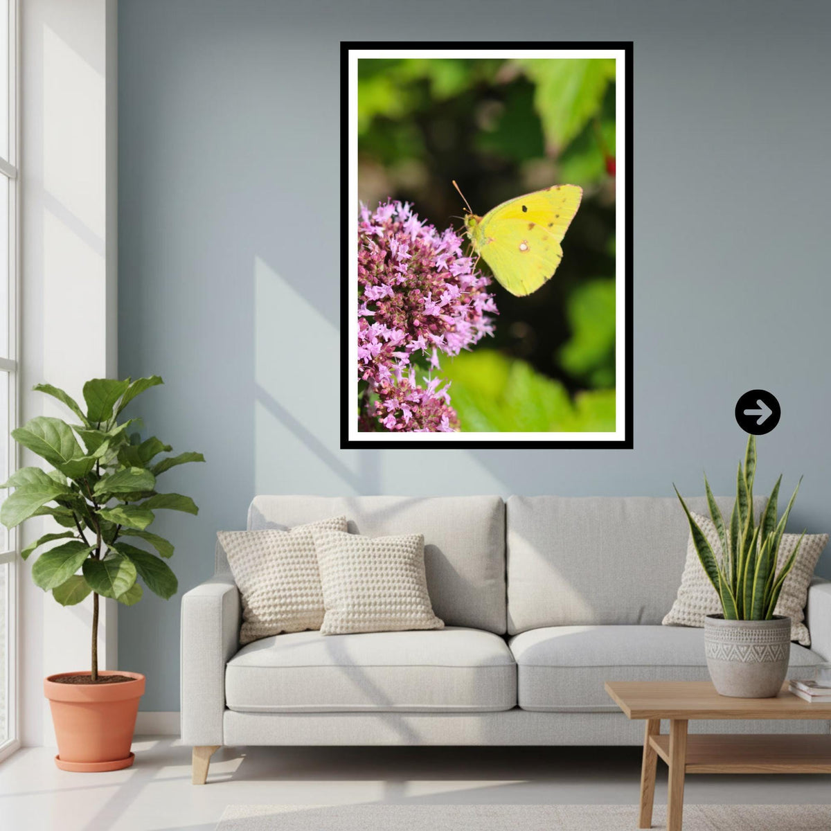 Clouded Yellow Butterfly Print, Nature Photography, Botanical Wall Art, Garden Decor