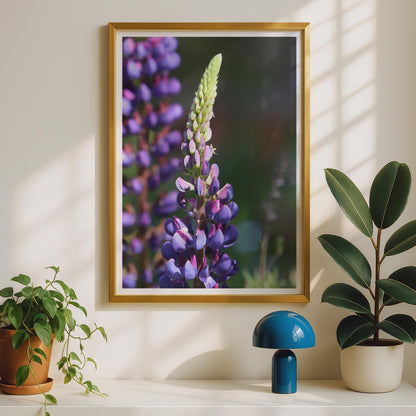 Lupin Flower Photography Print, Purple Botanical Wall Art, Floral Poster, Garden Photo, Violet Wildflower Decor, Close Up Nature Print