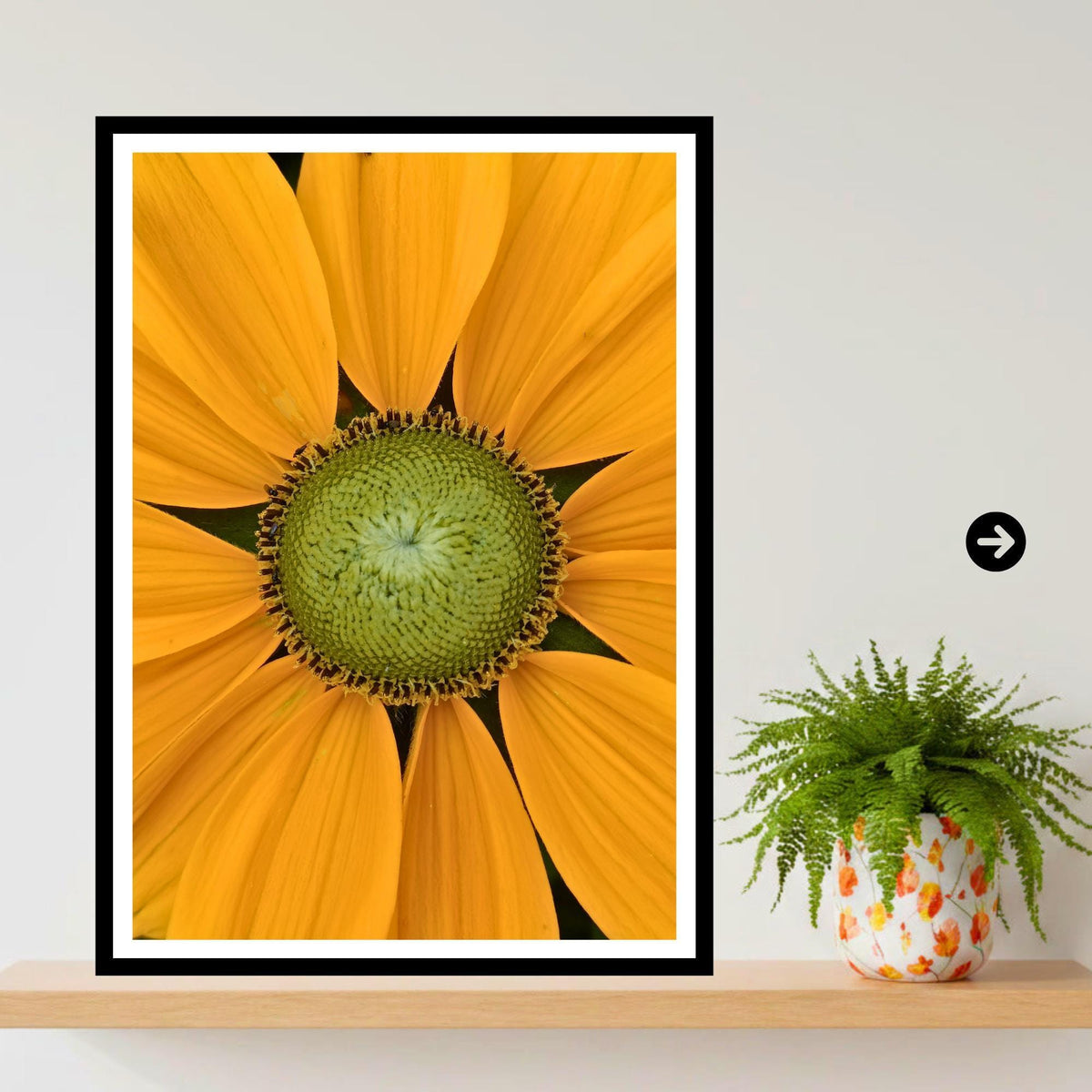 Rudbeckia Flower Print | Yellow Botanical Close-Up Photography, Summer Garden Art