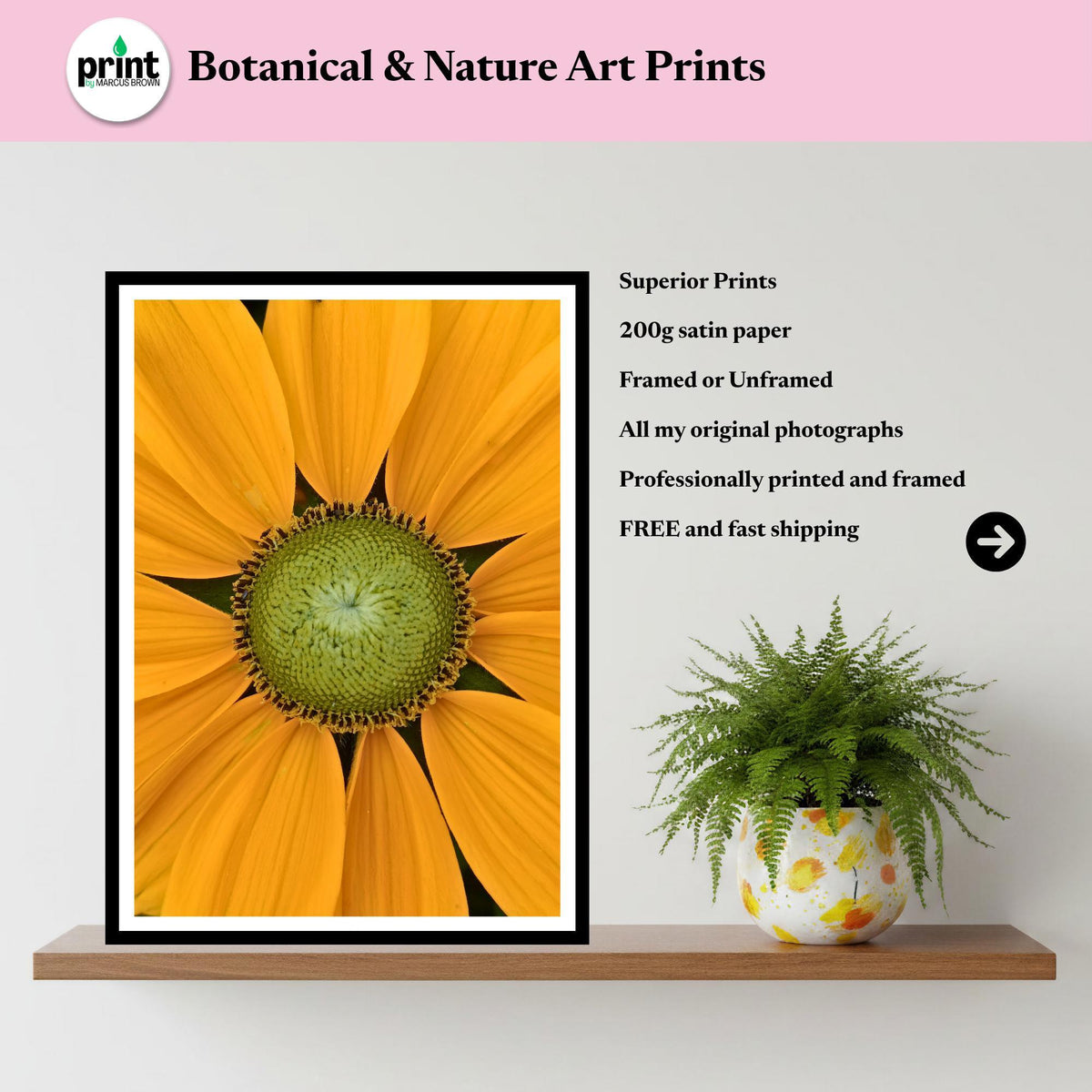 Rudbeckia Flower Print | Yellow Botanical Close-Up Photography, Summer Garden Art