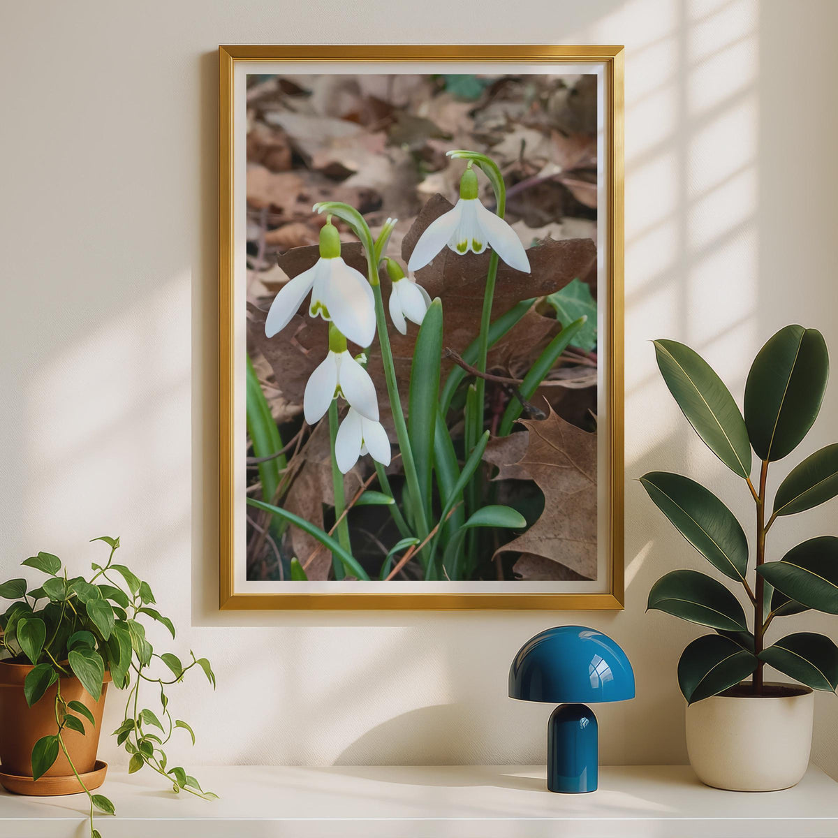 Snowdrop Flower Photo Print, White Spring Floral Wall Art, Galanthus Botanical Poster, Nature Photography, Garden Decor, Early Spring Gift
