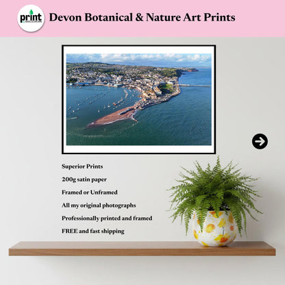 Teignmouth Aerial Print | Devon Coastal Photography, Pier, Back Beach Wall Art