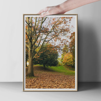 Autumn Trees Photography Print, Fallen Leaves Park Poster, Golden Orange Forest Wall Art, Nature Photo Print, Seasonal Woodland Decor