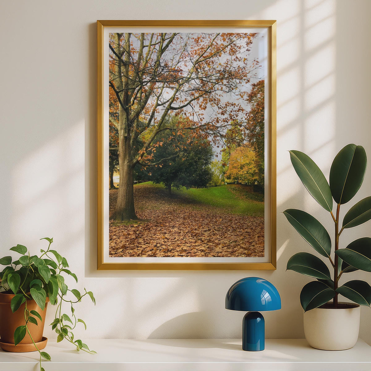 Autumn Trees Photography Print - image 2