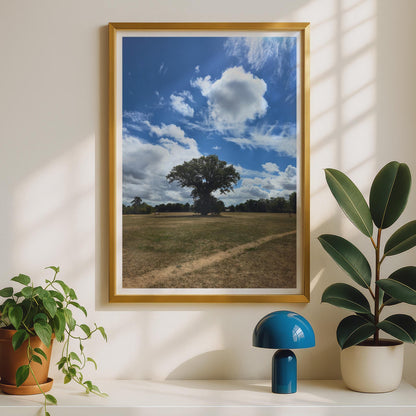 Lone Tree Landscape Photography Print - image 2