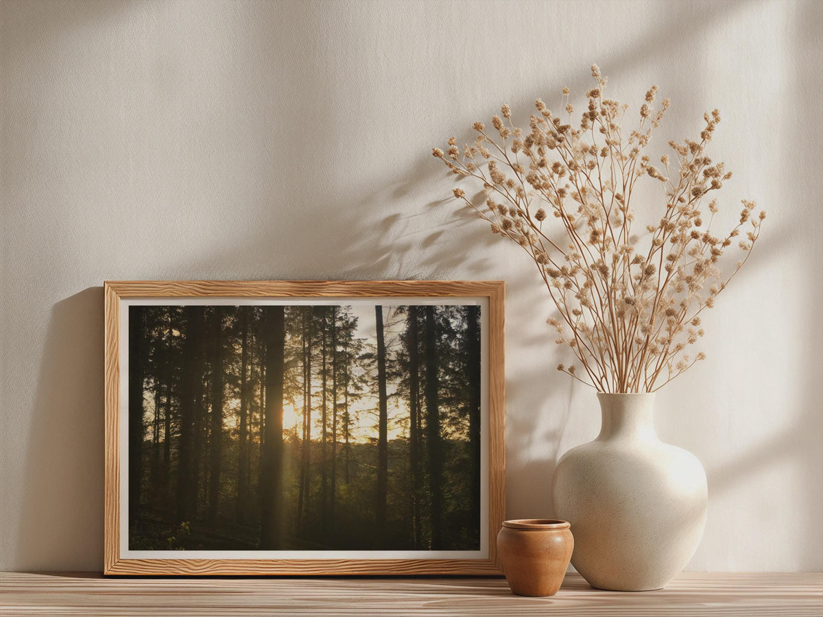 Forest Sunrise Poster - image 3