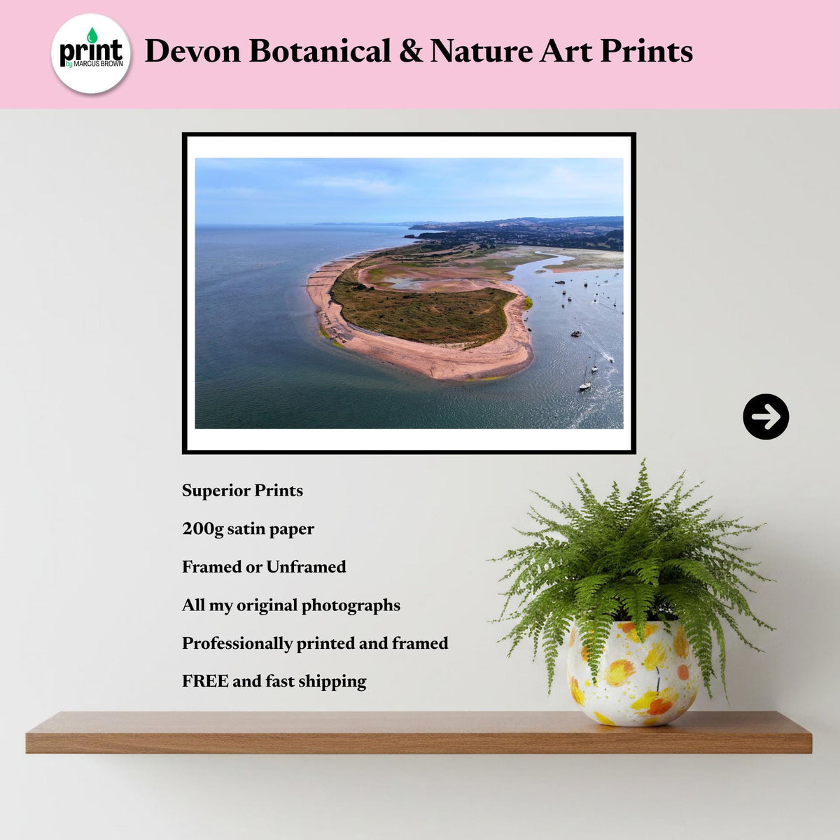 Dawlish Warren from the air Poster / Framed Print (Portrait)