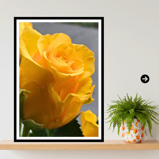 Yellow Rose Print: Botanical Fine Art Floral Decor Poster