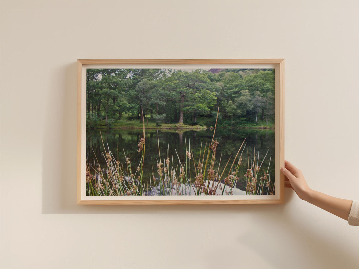 Forest Lake Landscape Poster, Woodland Reflection Wall Art, Trees and Reeds Framed-Print, Nature Photography, Green Countryside Print