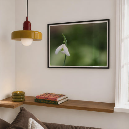 Snowdrop Flower Poster, White Spring Botanical Framed-Print, Macro Photography Wall Art, Nature Print, Green Garden Decor, Floral Gift