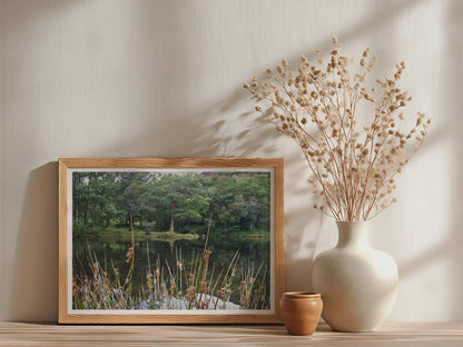 Forest Lake Landscape Poster - image 3