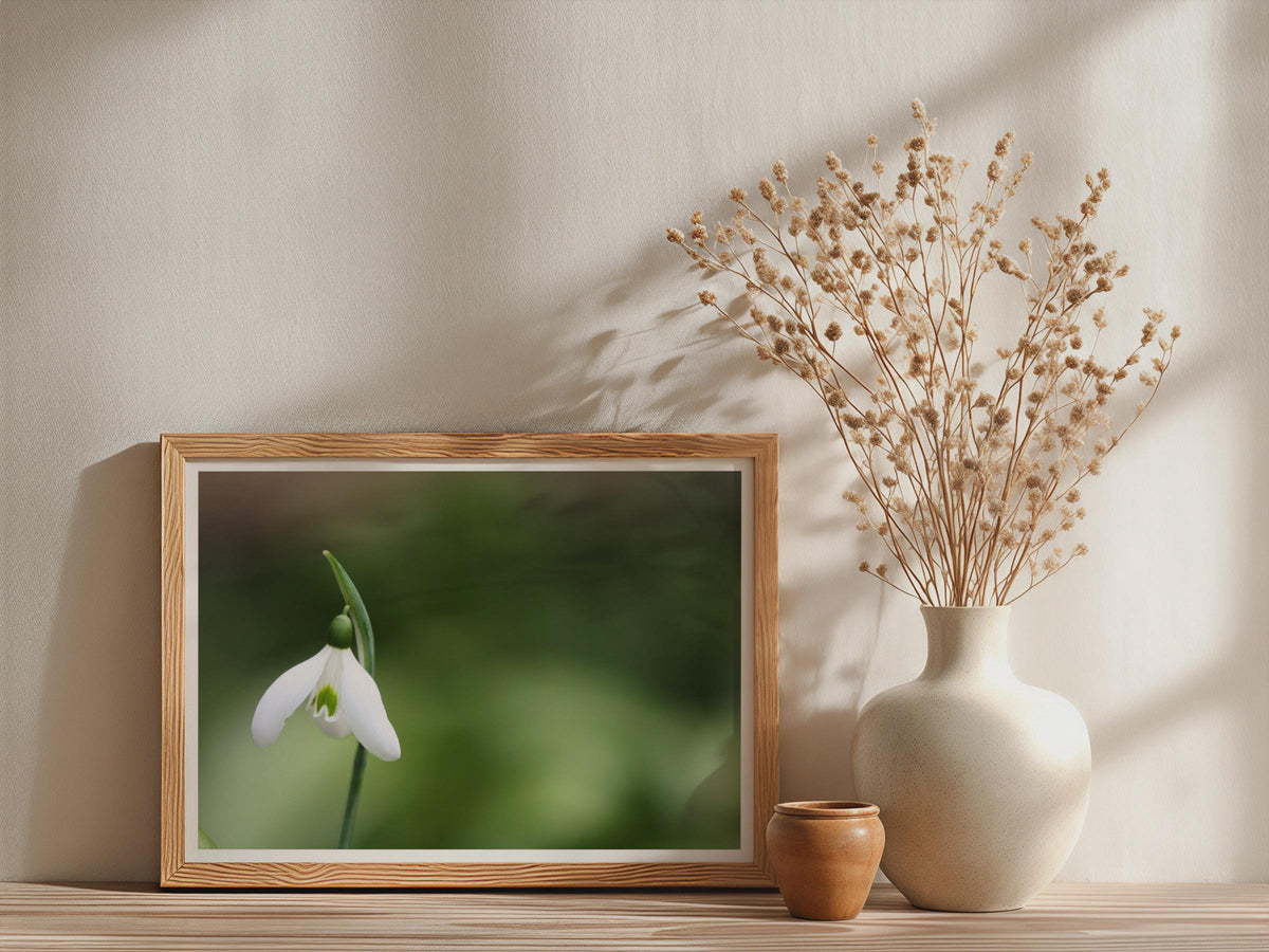Snowdrop Flower Poster, White Spring Botanical Framed-Print, Macro Photography Wall Art, Nature Print, Green Garden Decor, Floral Gift