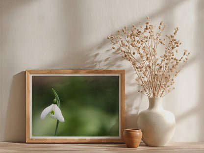 Snowdrop Flower Poster, White Spring Botanical Framed-Print, Macro Photography Wall Art, Nature Print, Green Garden Decor, Floral Gift