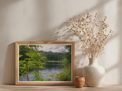 Lake District Trees Landscape Poster - image 3