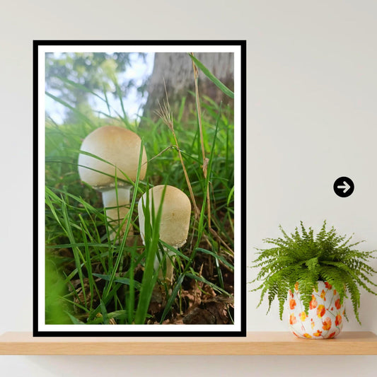 Green-spored Parasol Fungi Print Art, Fungi Collection, Woodland Decor, Botanical Photography, Nature Wall Art, FSC Certified Archival Print