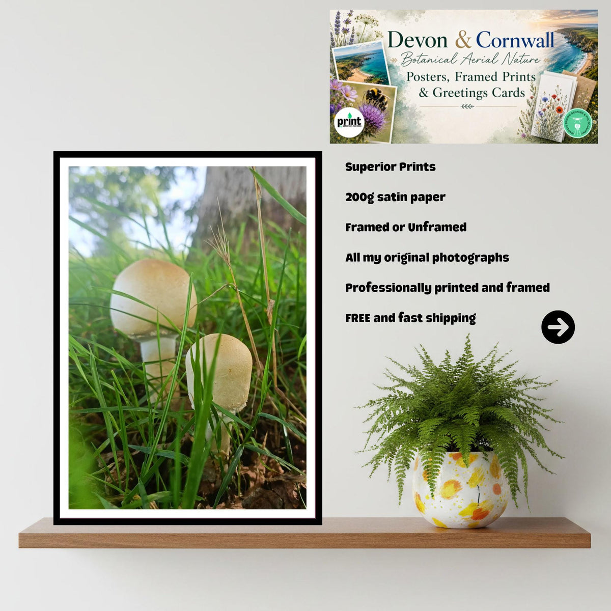 Green-spored Parasol Fungi Print Art, Fungi Collection, Woodland Decor, Botanical Photography, Nature Wall Art, FSC Certified Archival Print