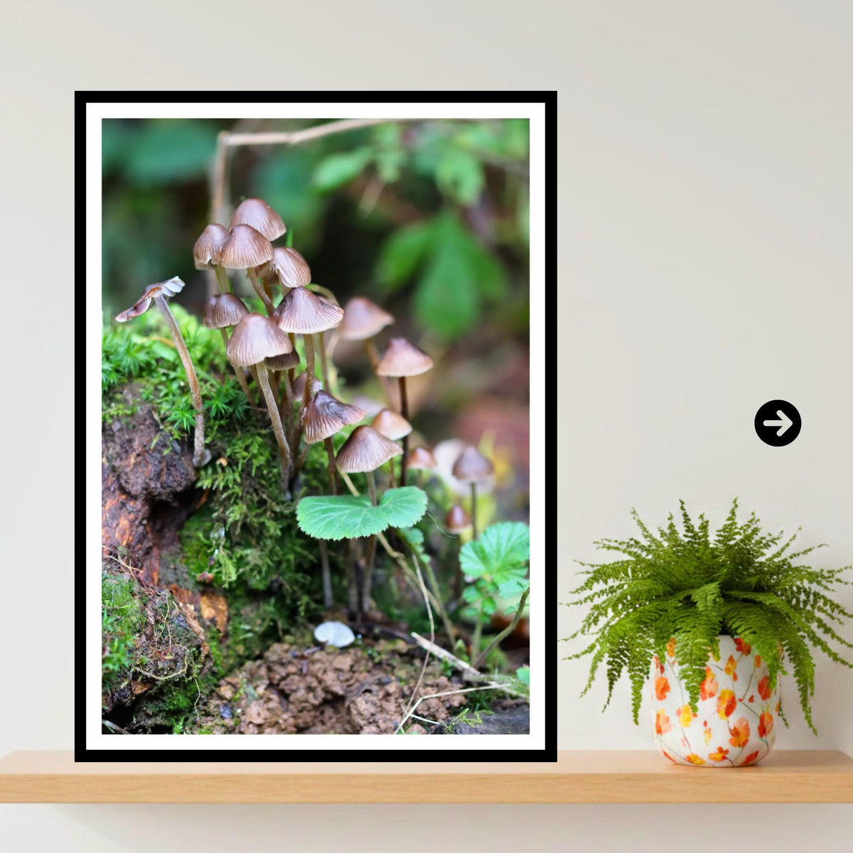Fairy Inkcap Fungi Print Art, Mushroom Nature Photography, Woodland Decor, Botanical & Fungi Collection, Archival FSC Certified Print