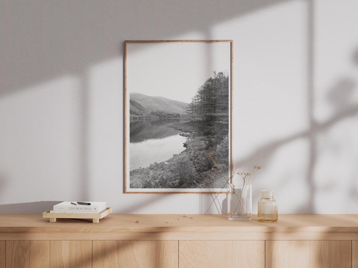 Black and White Lake District Trees Poster - image 4
