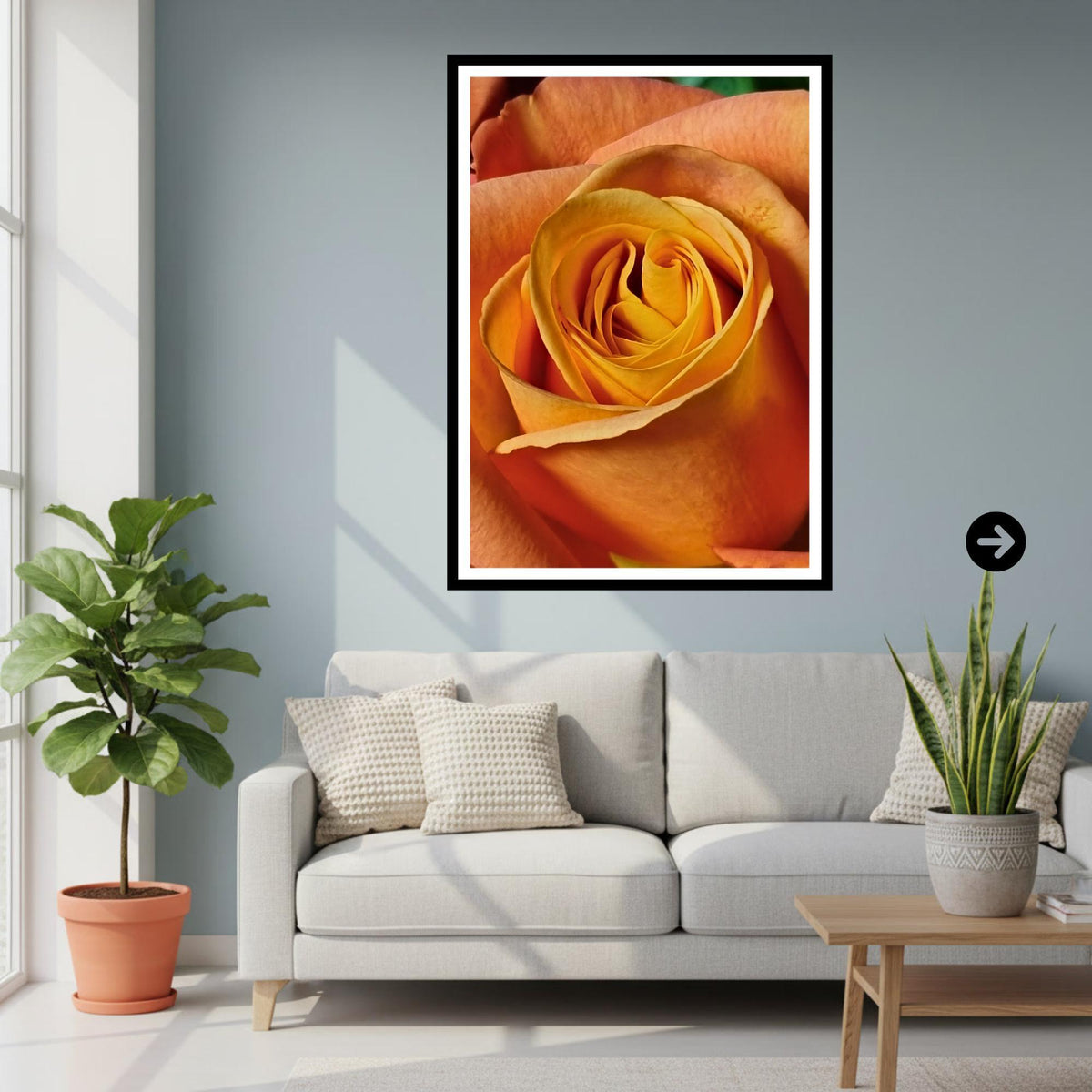 Apricot Rose Print: Macro Botanical Fine Art Flower Photography (Rose Collection)