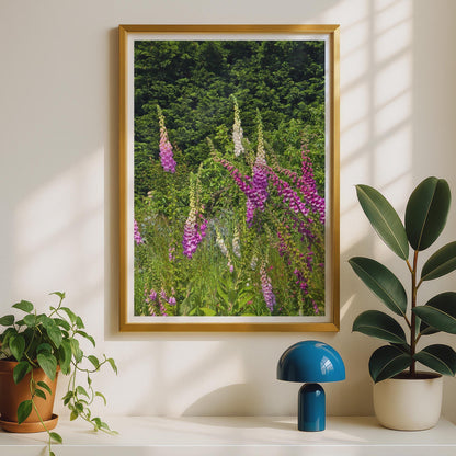 Foxglove Flower Print, Pink Purple Garden Wall Art, British Wildflower Poster, Cottage Garden Decor, Summer Floral Photography Print