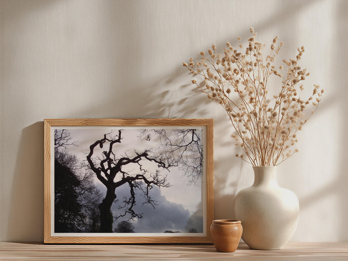 Twisted Bare Tree Silhouette Poster - image 3