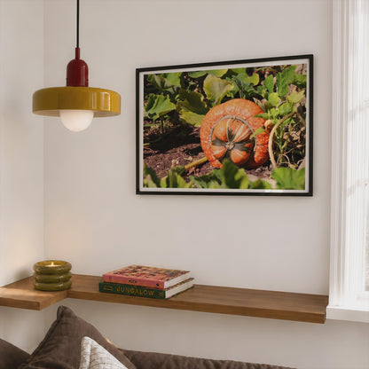 Pumpkin Patch Poster, Autumn Squash Framed-Print, Orange Gourd Garden Wall Art, Harvest Season Botanical Photography Print
