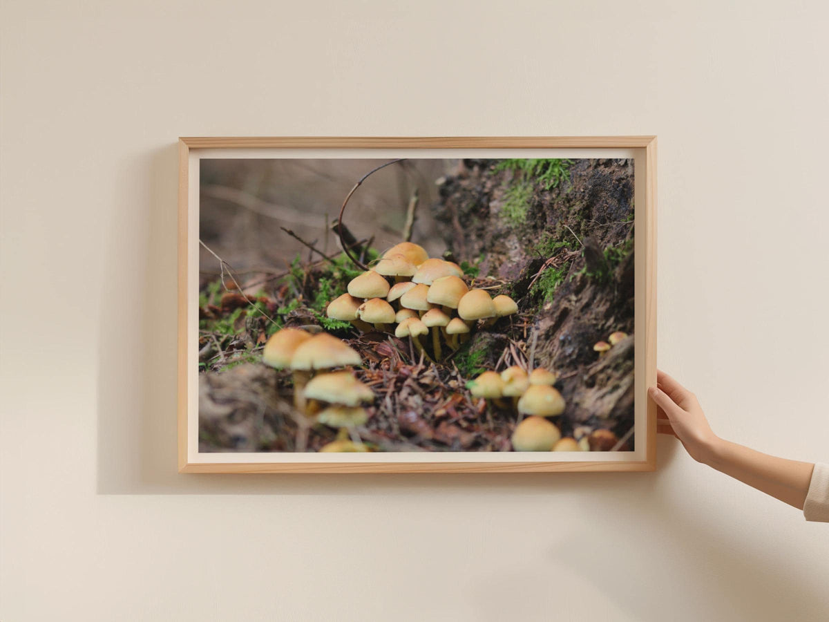 Wild Mushroom Cluster Poster, Fungi Forest Floor Framed Print, Woodland Nature Photography, Autumn Toadstool Wall Art, Earthy Brown Decor