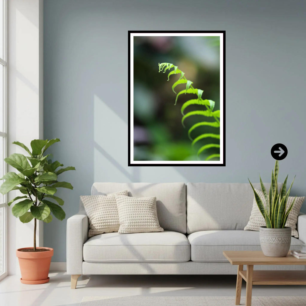 Delicate Fern Frond Close-Up - Eden Project Cornwall Wall Art Photography Print