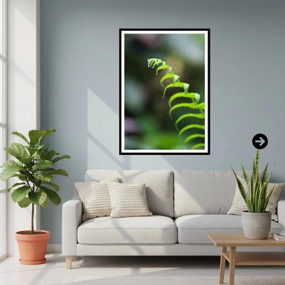 Delicate Fern Frond Close-Up - Eden Project Cornwall Wall Art Photography Print