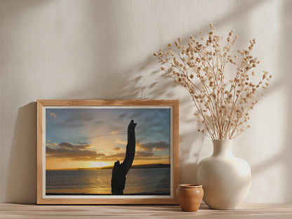 Driftwood Sunset Coastal Landscape Poster mockup - Neutral_Mockup_Studio_509