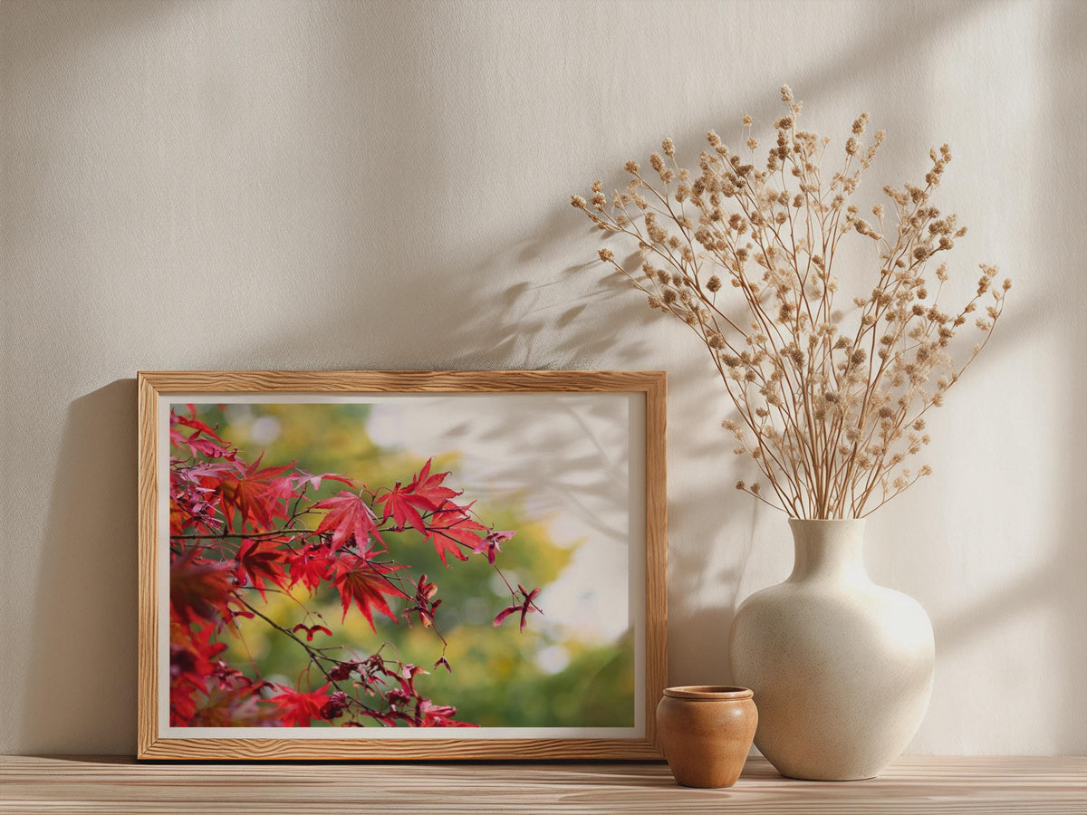 Japanese Maple Tree Poster - image 3