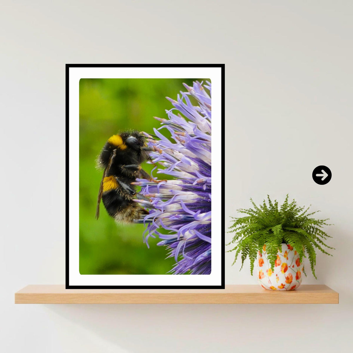 Macro Bumblebee Photography Print | Purple Floral Botanical Nature Decor