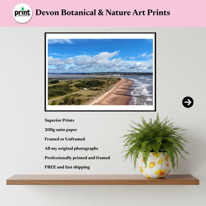 Aerial Dawlish Warren Beach Print | Devon Coastal Photography, Nature Reserve Wall Art