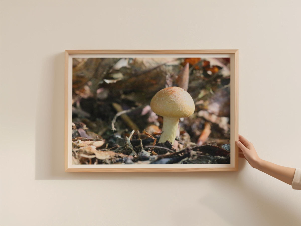 Woodland Mushroom Poster, Fungi Framed-Print, Forest Floor Nature Photography, Autumn Earthy Tones, Botanical Wall Art, Mushroom Lover Gift