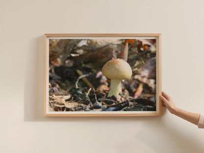 Woodland Mushroom Poster, Fungi Framed-Print, Forest Floor Nature Photography, Autumn Earthy Tones, Botanical Wall Art, Mushroom Lover Gift