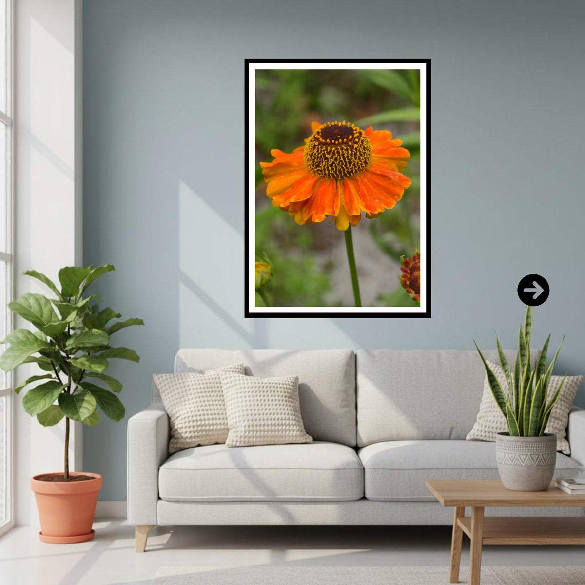 Rudbeckia Golden Summer Print, Floral Wall Art, Garden Lover Gift, Nature Photography, Botanical Artwork, Vibrant Home Decor, Archival Paper