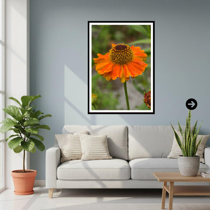 Rudbeckia Golden Summer Print, Floral Wall Art, Garden Lover Gift, Nature Photography, Botanical Artwork, Vibrant Home Decor, Archival Paper