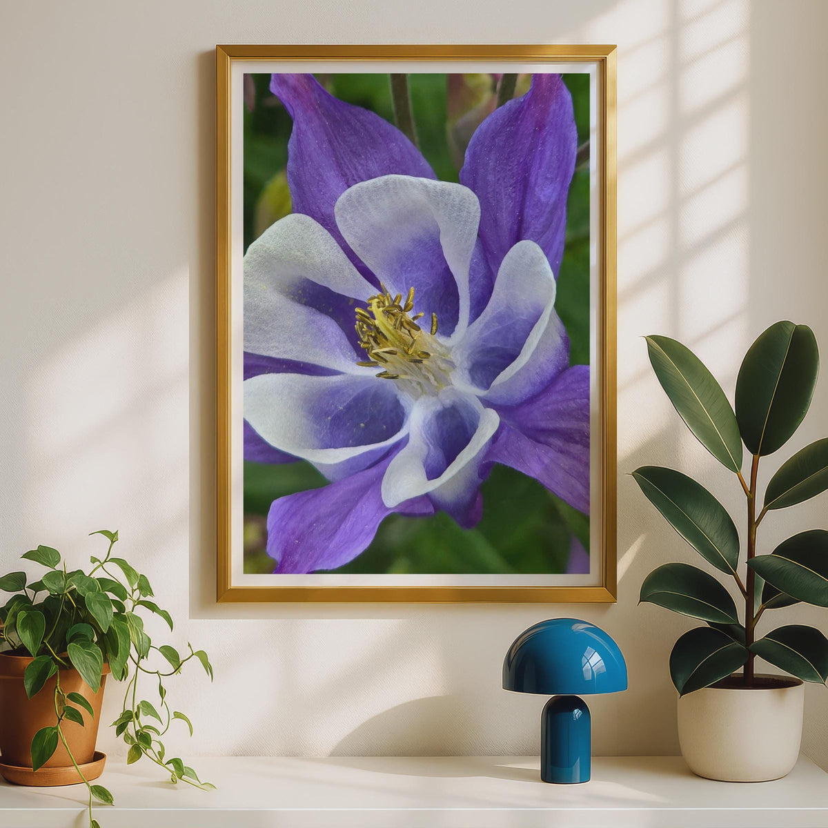 Purple Columbine Flower Poster, Close Up Botanical Wall Art Print, Violet White Garden Floral Photo, Nature Lover Gift, Living Room Decor