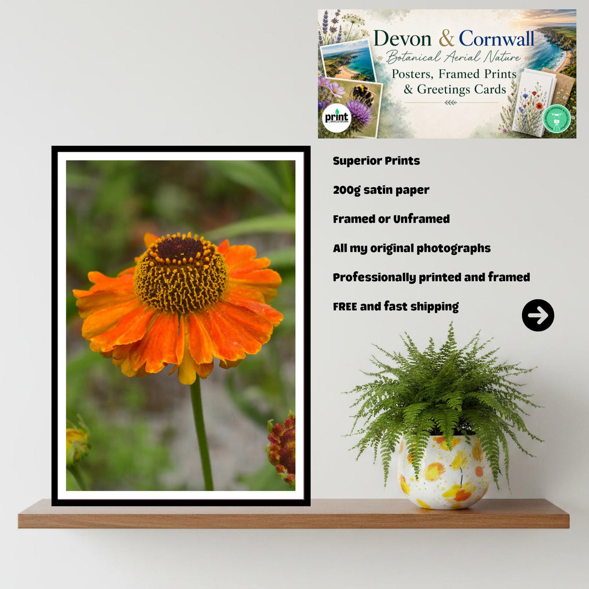 Rudbeckia Golden Summer Print, Floral Wall Art, Garden Lover Gift, Nature Photography, Botanical Artwork, Vibrant Home Decor, Archival Paper