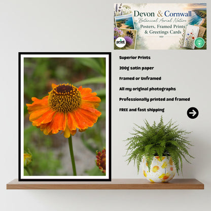 Rudbeckia Golden Summer Print, Floral Wall Art, Garden Lover Gift, Nature Photography, Botanical Artwork, Vibrant Home Decor, Archival Paper