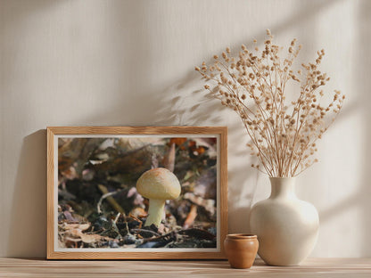 Woodland Mushroom Poster mockup - Neutral_Mockup_Studio_509