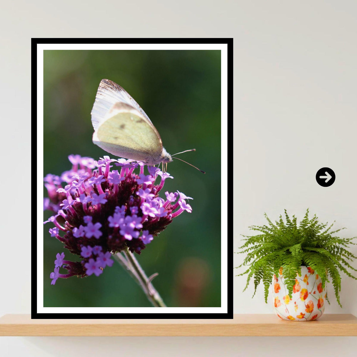Small White Butterfly Print, Minimalist Nature Photography, Botanical Wall Art, Cottagecore Decor