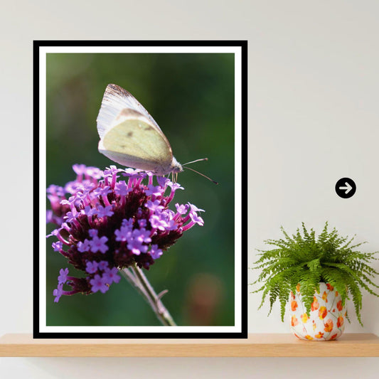 Small White Butterfly Print, Minimalist Nature Photography, Botanical Wall Art, Cottagecore Decor