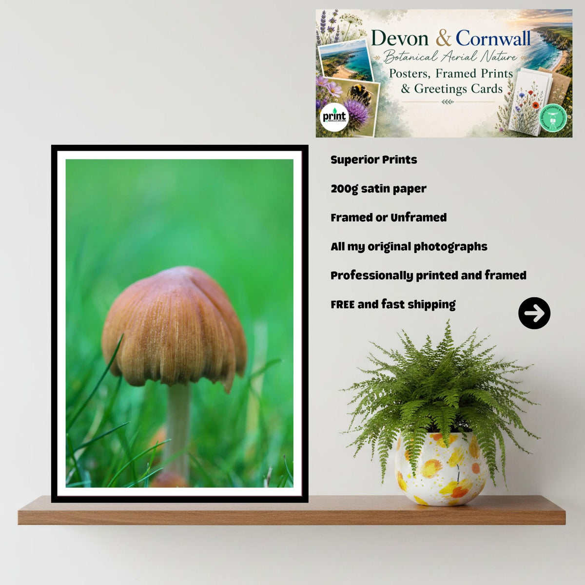 Pleated Inkcap Fungi Print | Botanical Mushroom Art, Nature Photography, Forest Decor, Archival Paper, FSC Certified, Unique Gift