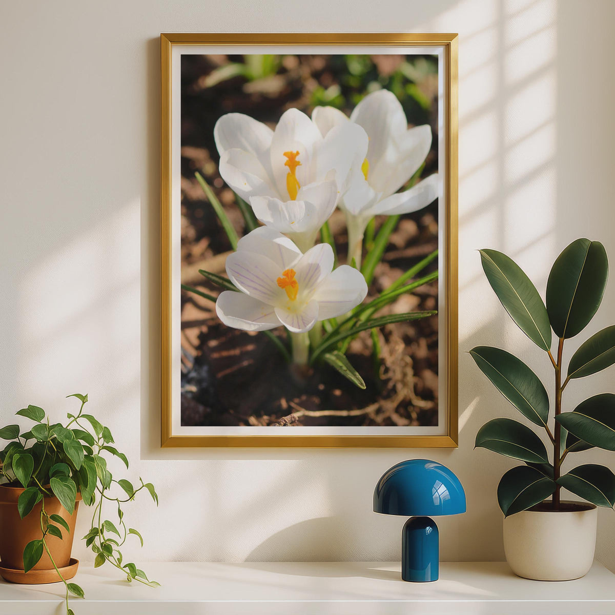 White Crocus Flower Photography Print, Spring Garden Wall Art, Botanical Poster, Nature Close Up, Yellow Stamen Floral Home Decor Gift