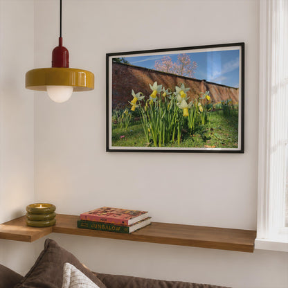 Daffodil Walled Garden Poster, Spring Flowers Framed-Print, Yellow Narcissus Wall Art, English Country Garden, Botanical Flower Print