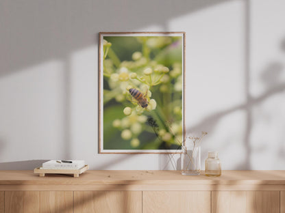 Honeybee on Flower Poster, Macro Bee Photography Print, Nature Wall Art, Green Botanical Insect Print, Garden Wildlife Photo Poster