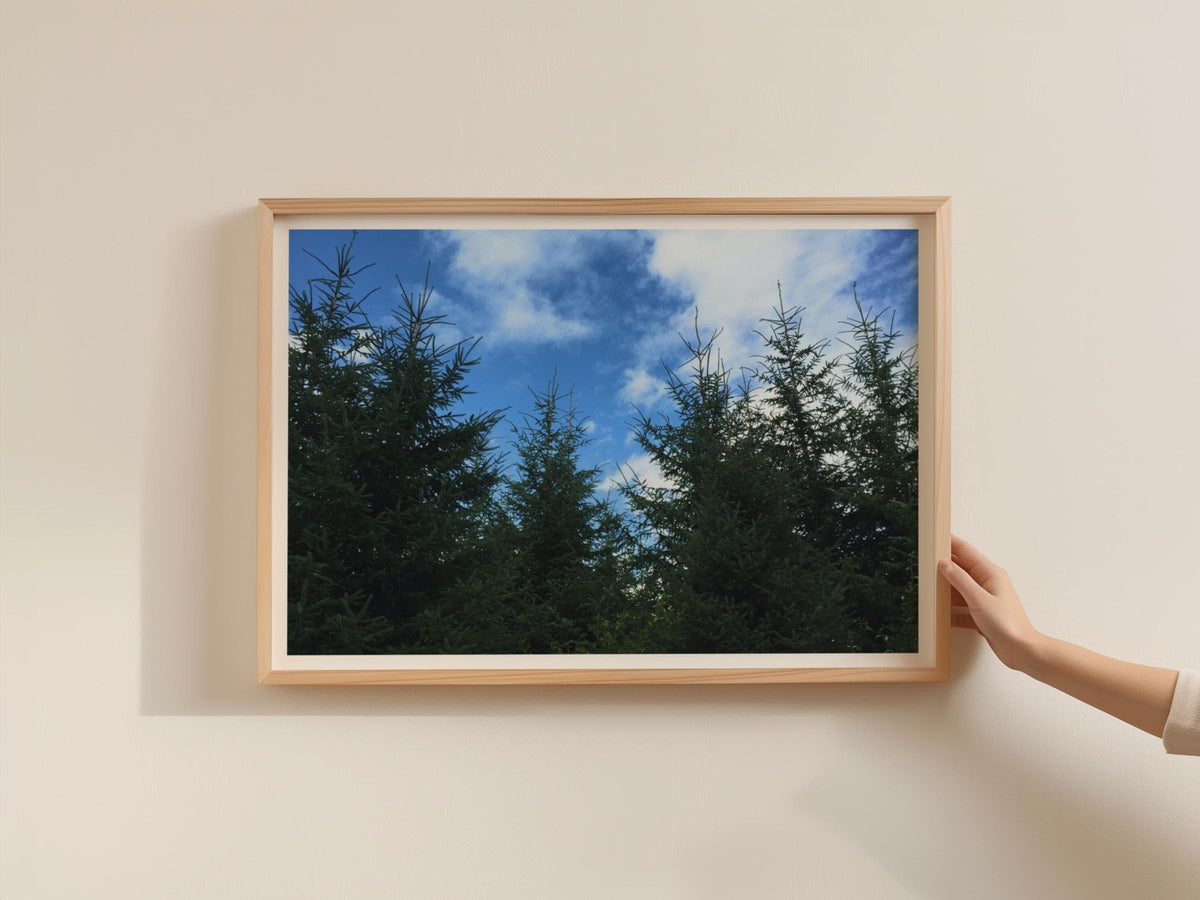 Evergreen Tree Canopy Poster, Forest Landscape Framed-Print, Blue Sky Pine Trees Wall Art, Nature Photography Print, Green Woodland Decor