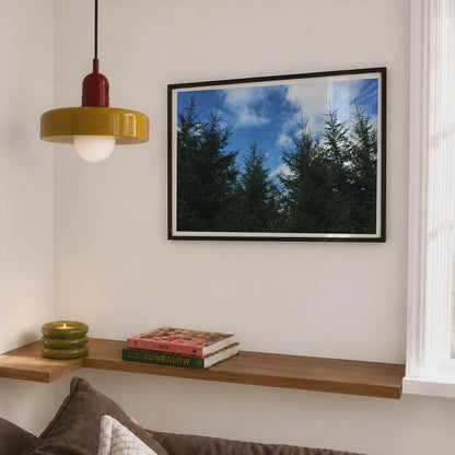 Evergreen Tree Canopy Poster - image 2